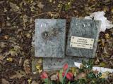 image of grave number 199363